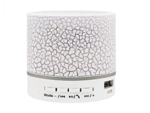 Ultra-compact cylindrical mini Bluetooth speaker in a metallic finish, smaller than a coffee mug, featuring a built-in lanyard and bottom-firing bass radiator, available at TechHub Computers Nairobi.